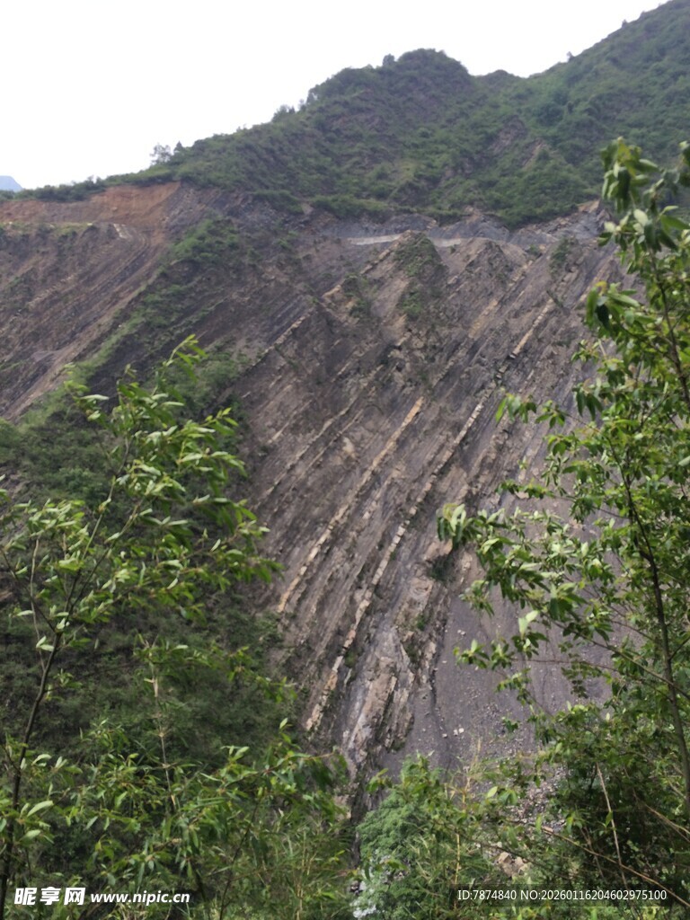 山坡上的植被与沟壑地貌