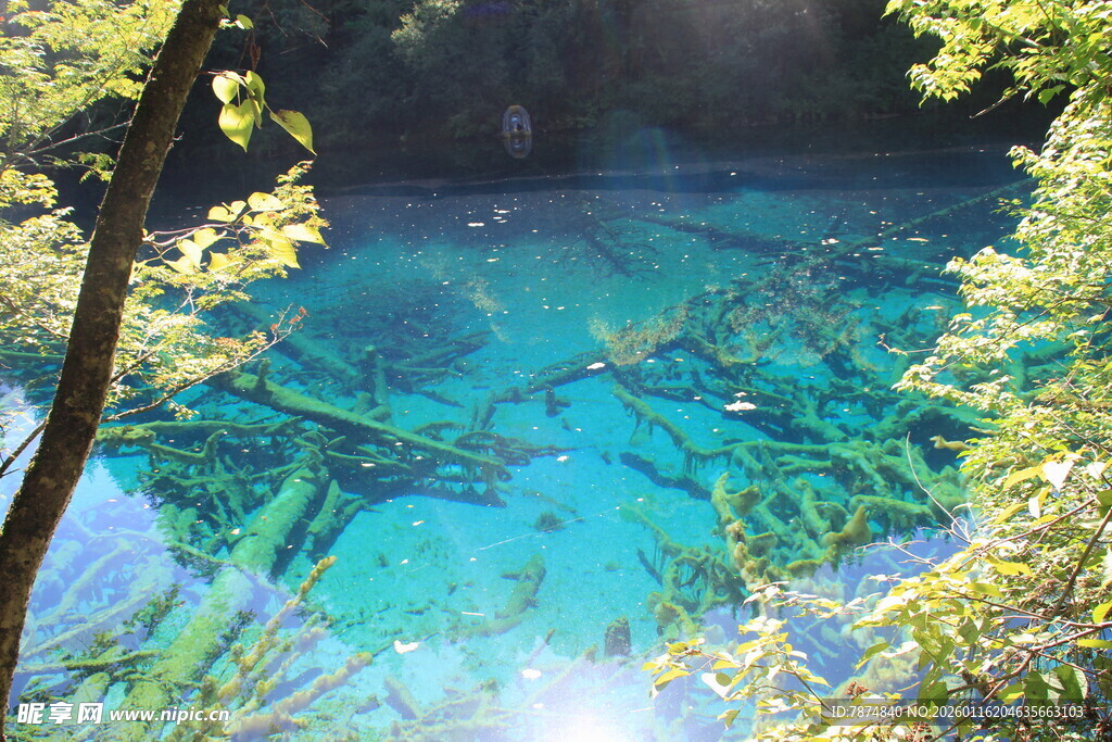 梦幻蓝湖 山林中的自然奇景