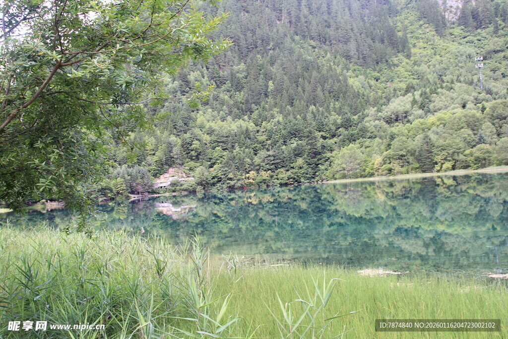 山间清潭 绿意环绕的美景