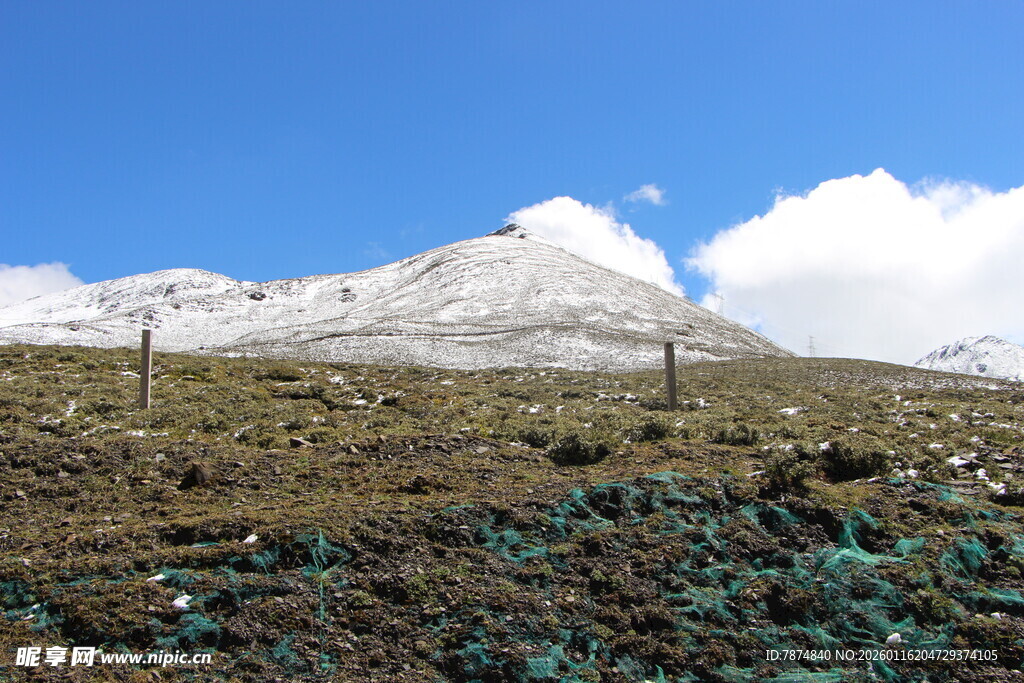 雪山风光 广袤原野景色