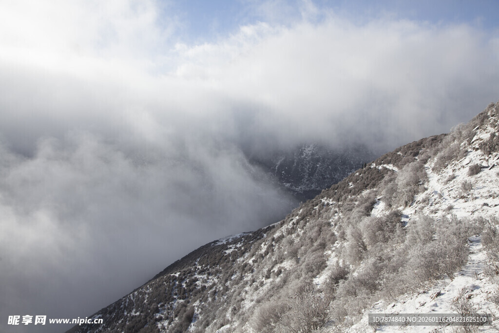 雪山云海壮丽景观