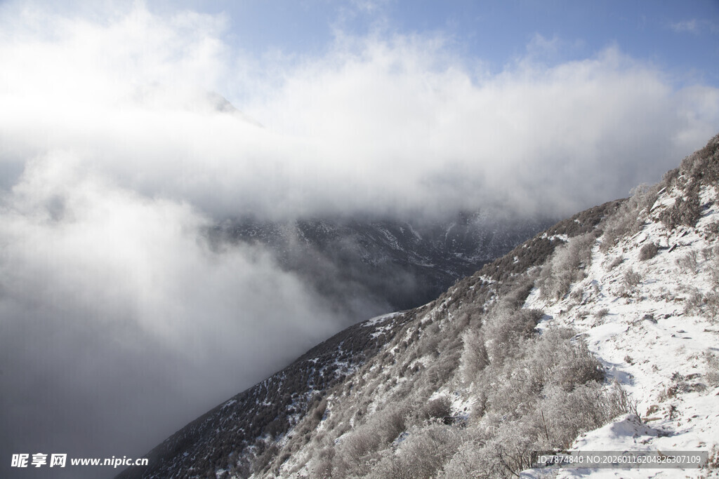 雪山云海壮丽景观
