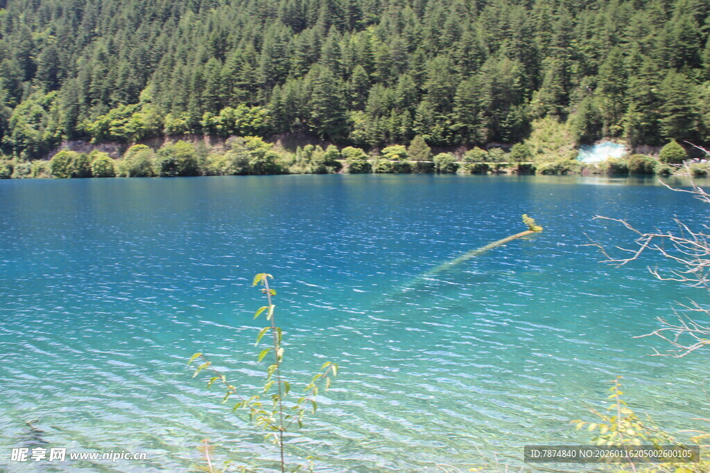 清澈蓝湖与葱郁山林美景