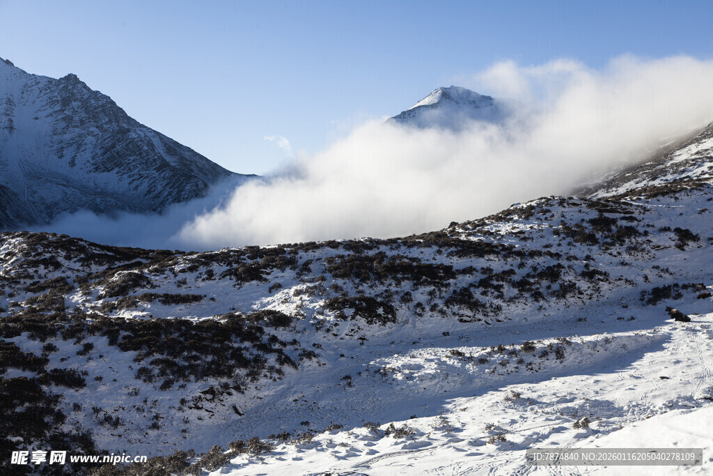 雪山云海壮丽自然景观