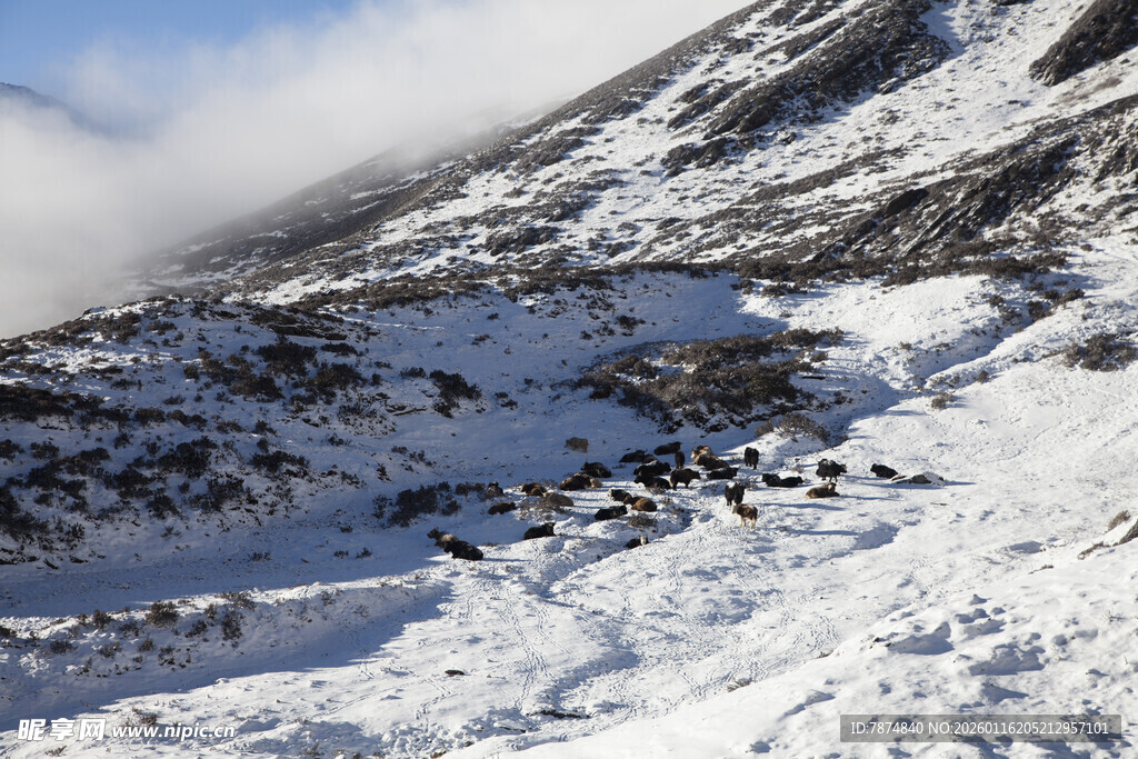 雪山景致 云雾缭绕的山峦