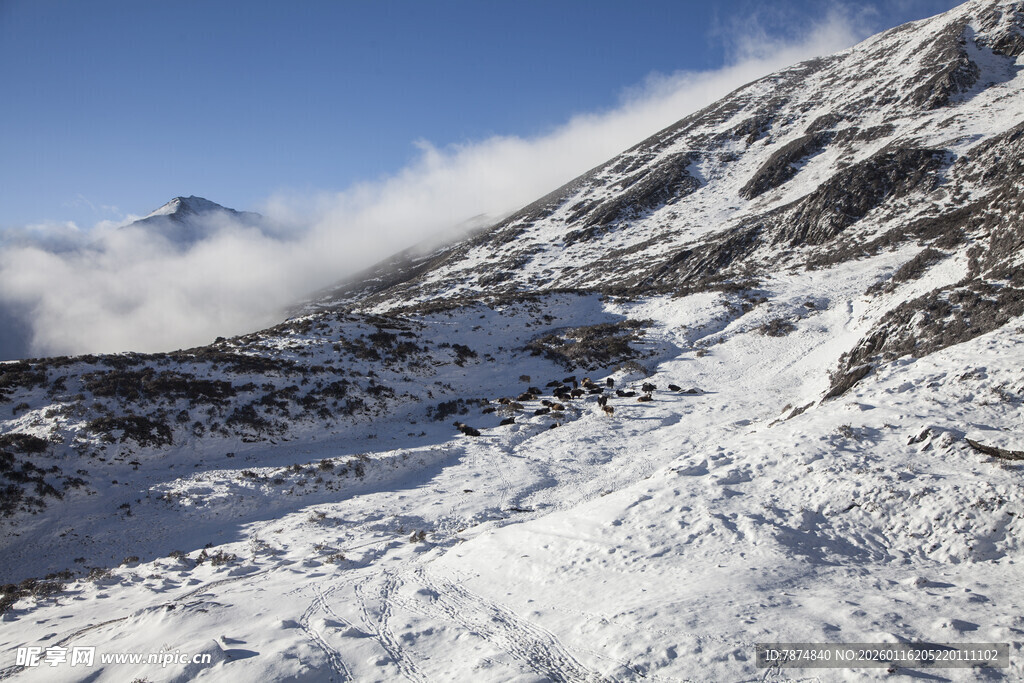 雪山云海壮丽景致