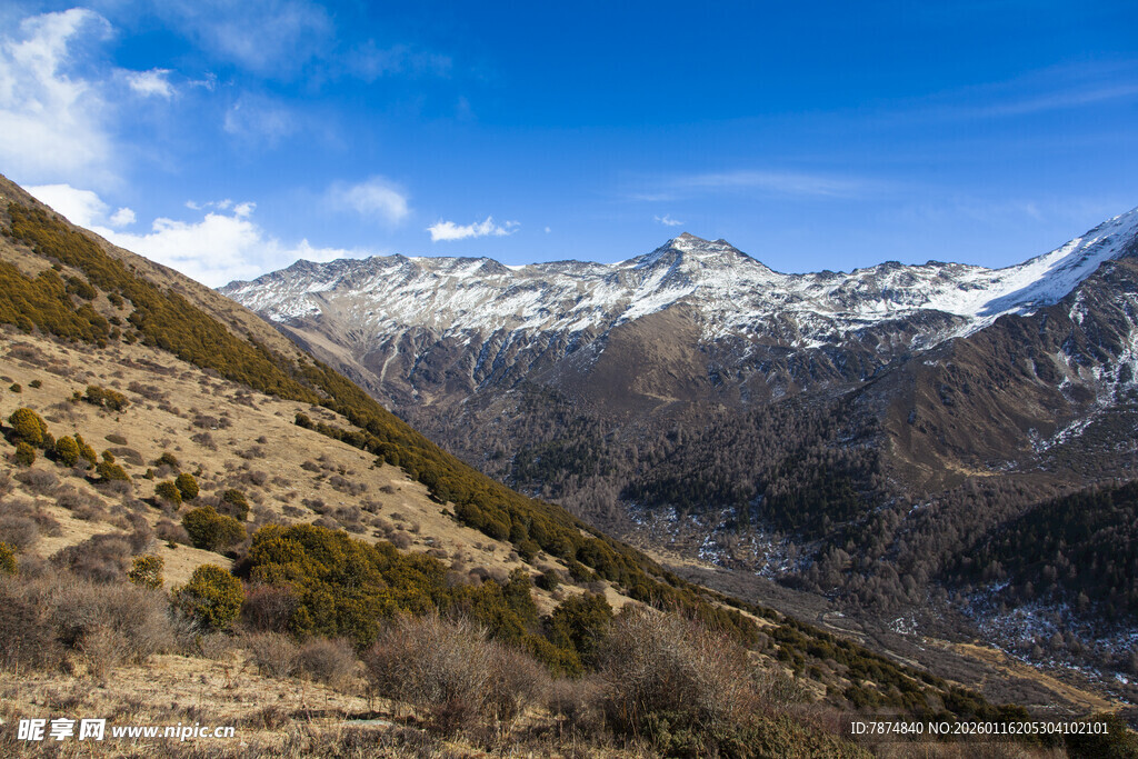 壮丽雪山山谷风景