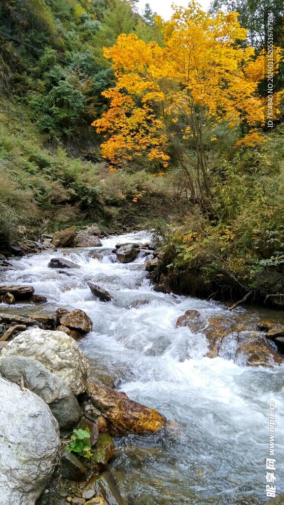 山间溪流秋色美景