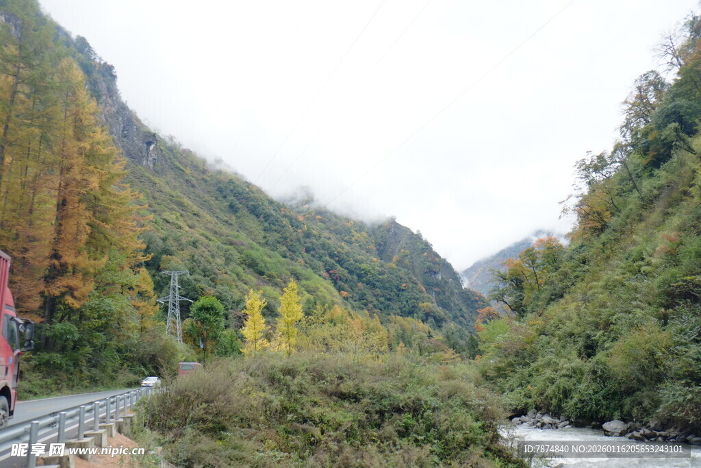 山间公路旁的多彩秋日风光