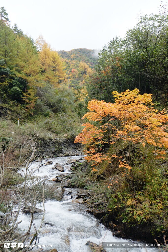 秋日山间溪流美景