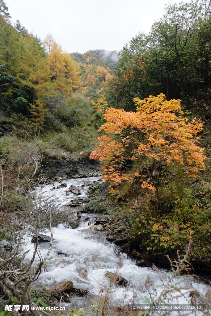 秋日山间溪流美景