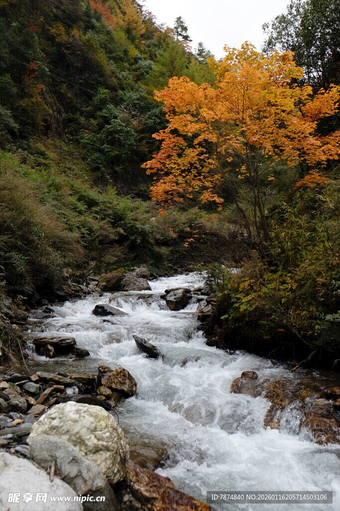 山间溪流秋色美景