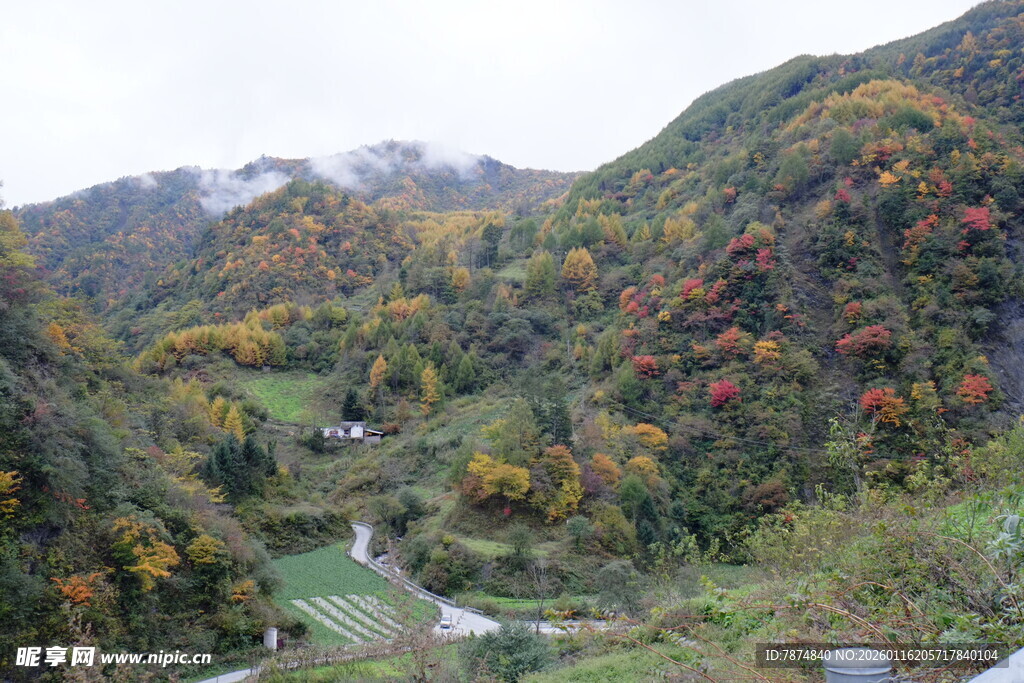 秋日山间多彩美景