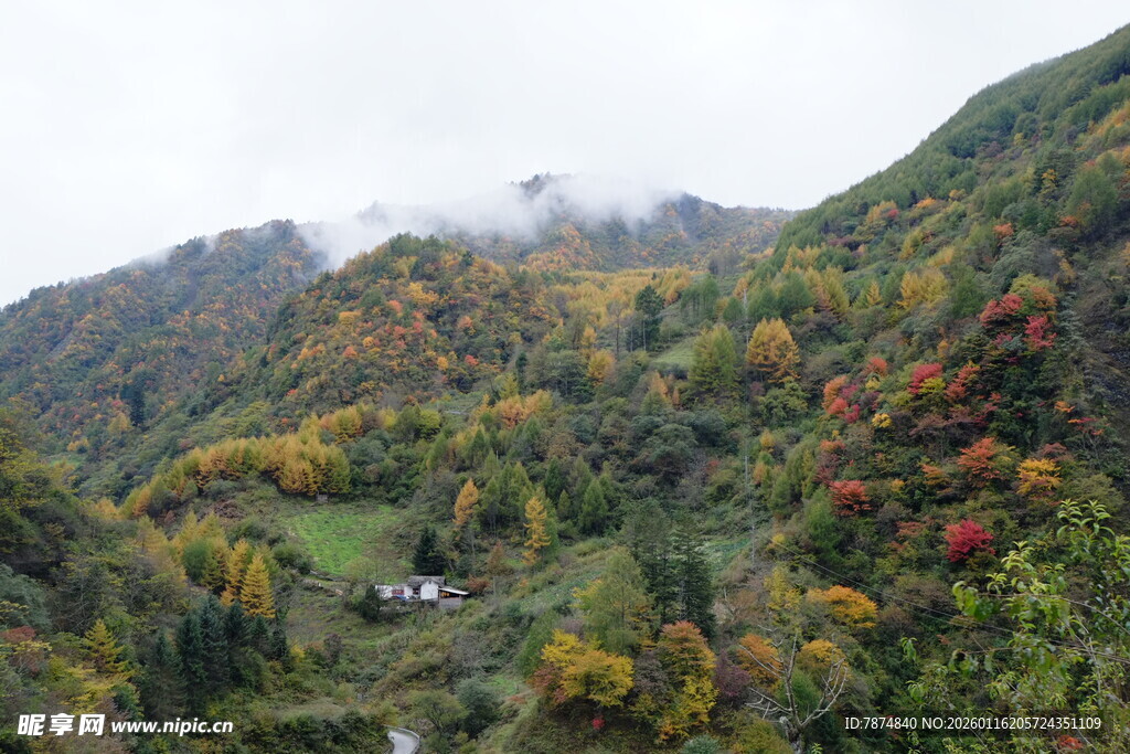 山间秋色美景