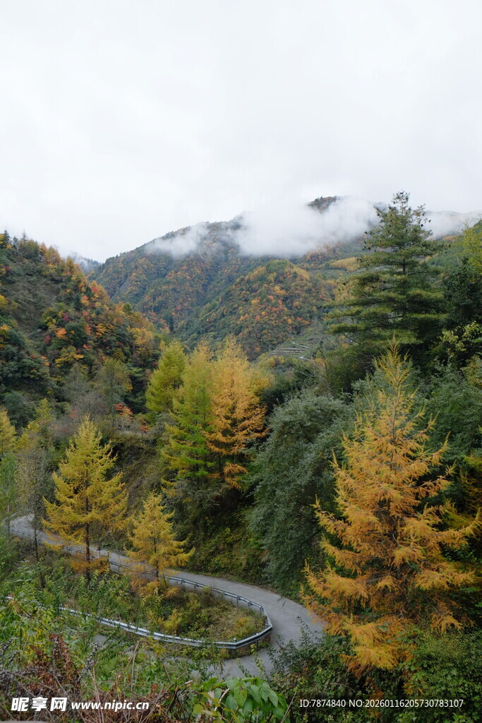 山间秋色蜿蜒公路美景