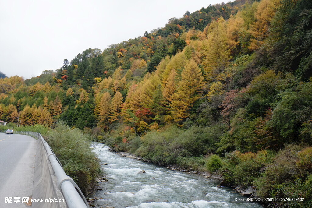 秋日山间公路旁的湍急溪流
