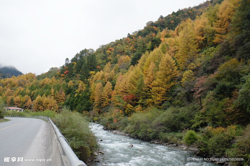 秋日山间公路旁的溪流景色