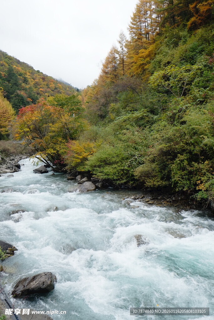 山间湍急溪流的秋日美景