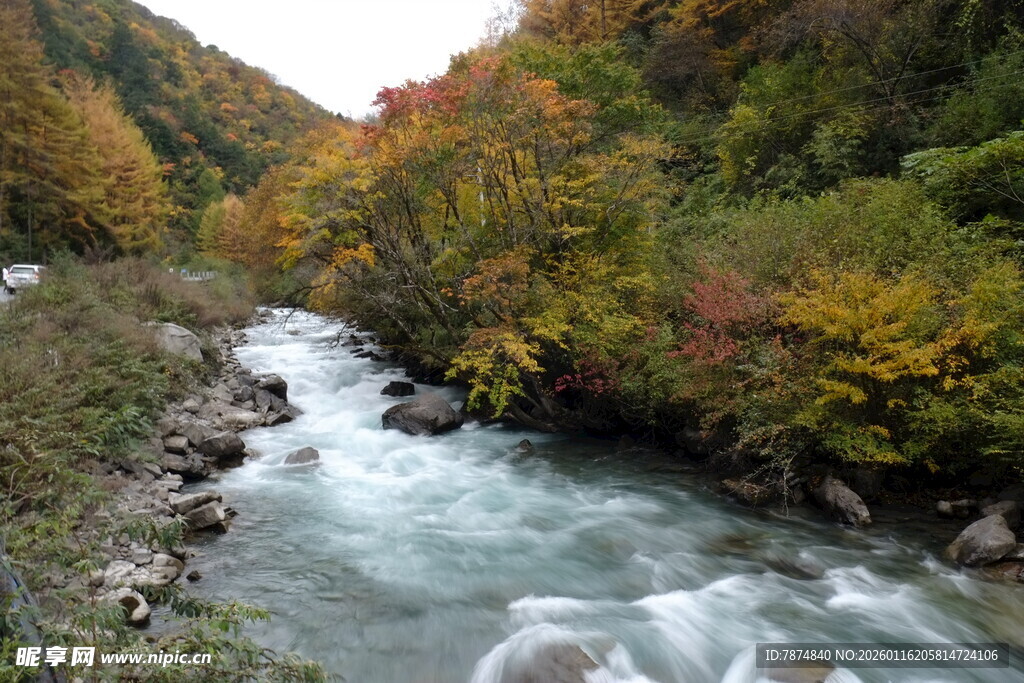 秋日山间湍急溪流美景