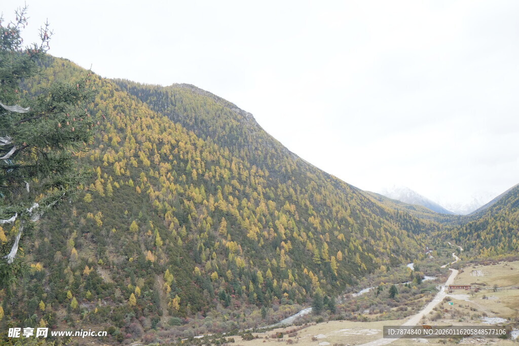 山间秋色 蜿蜒小路穿行