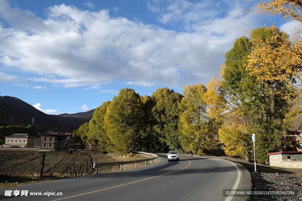 秋日公路旁的多彩树林