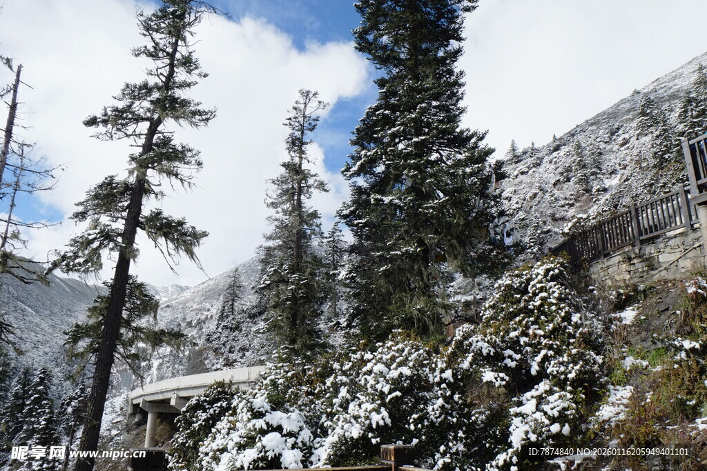 雪覆山林的冬日美景