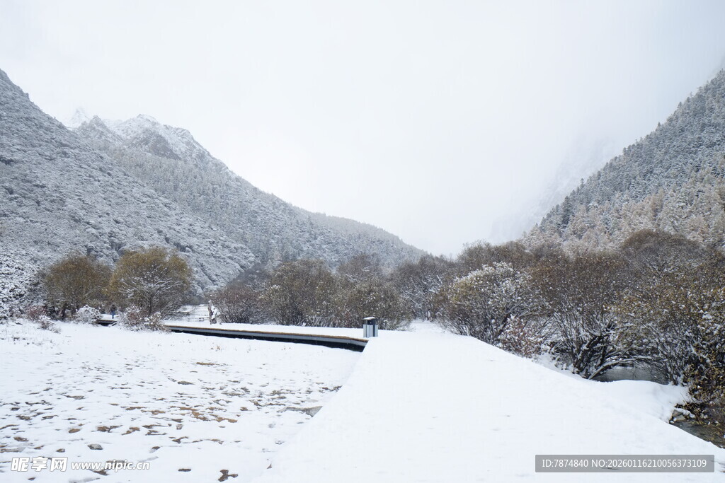 雪覆山谷的静谧冬日景象