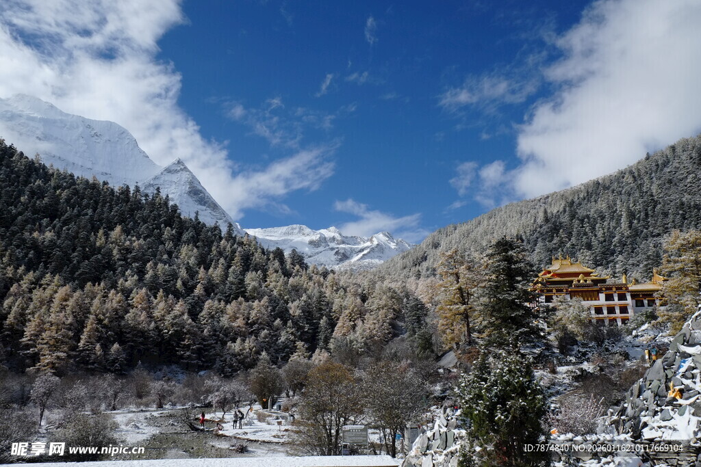 冬日雪山森林美景