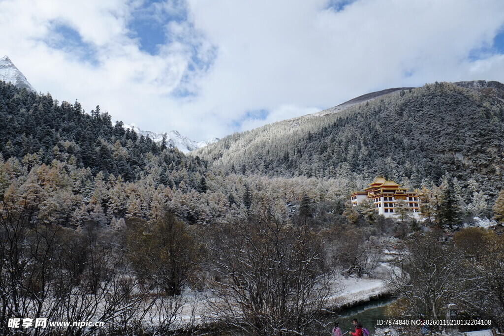 雪覆山林间的静谧景致