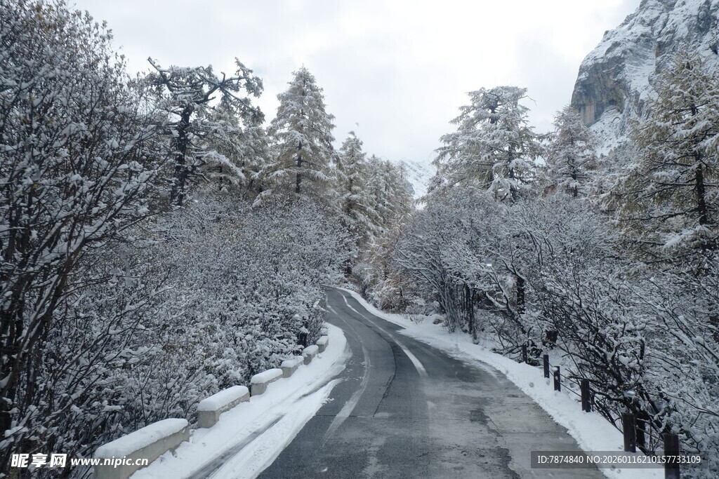 雪覆山林间的蜿蜒道路