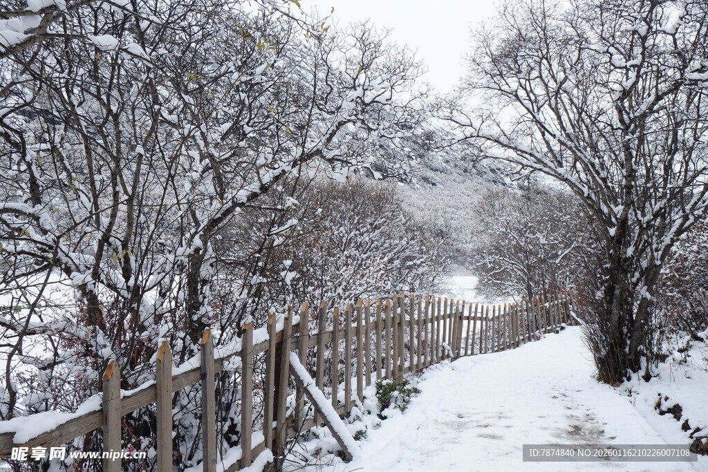 雪覆小径旁树木与木栏