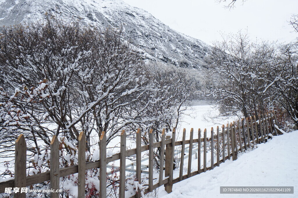 冬日雪覆围栏与树木景观
