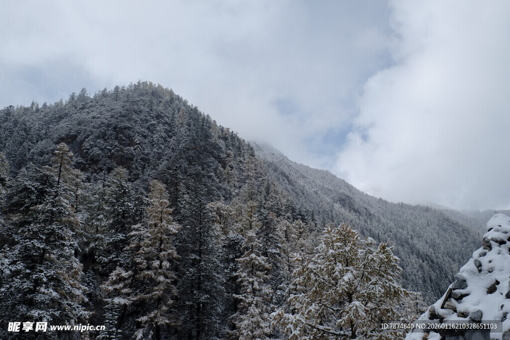 雪覆山林的壮美山景
