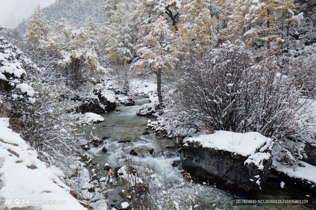 雪覆山林间的潺潺溪流