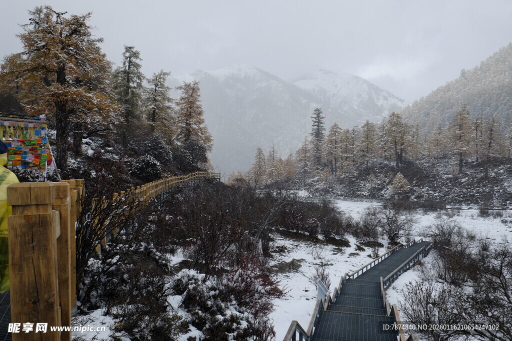 雪覆山林间的蜿蜒小路