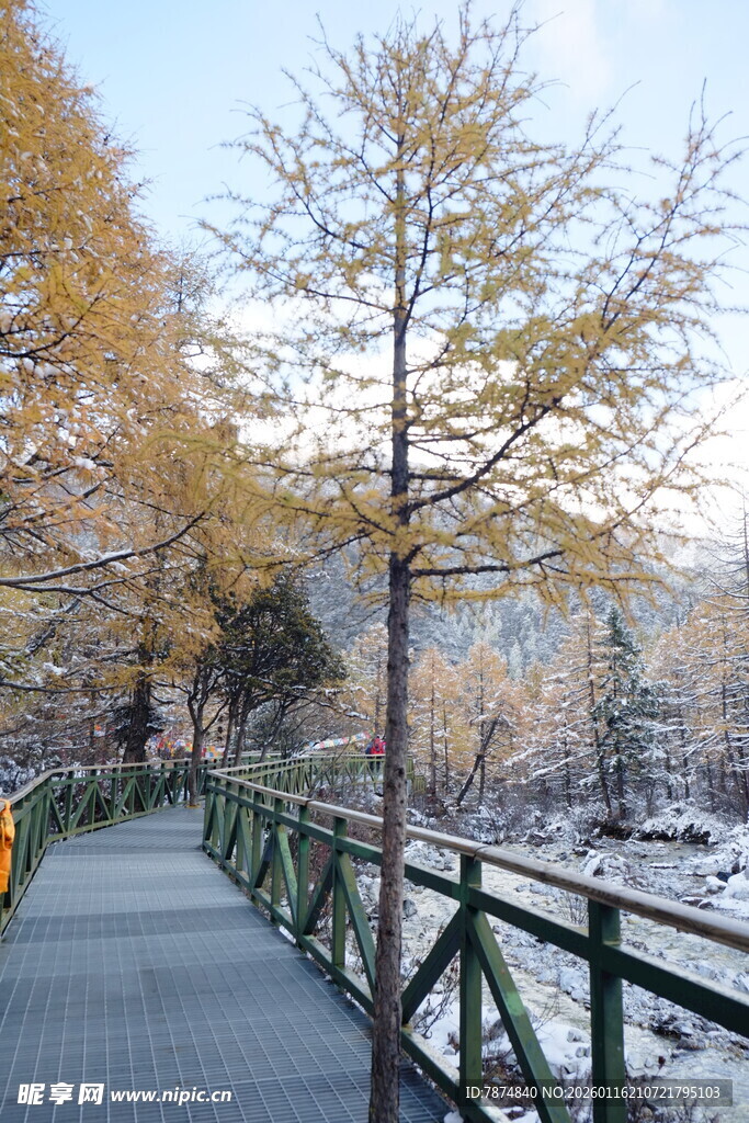 雪后秋景中的林间步道