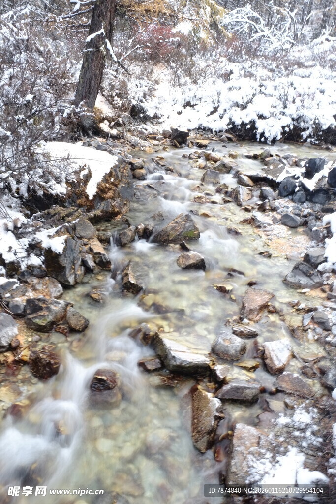 雪覆溪流 石间潺潺流水