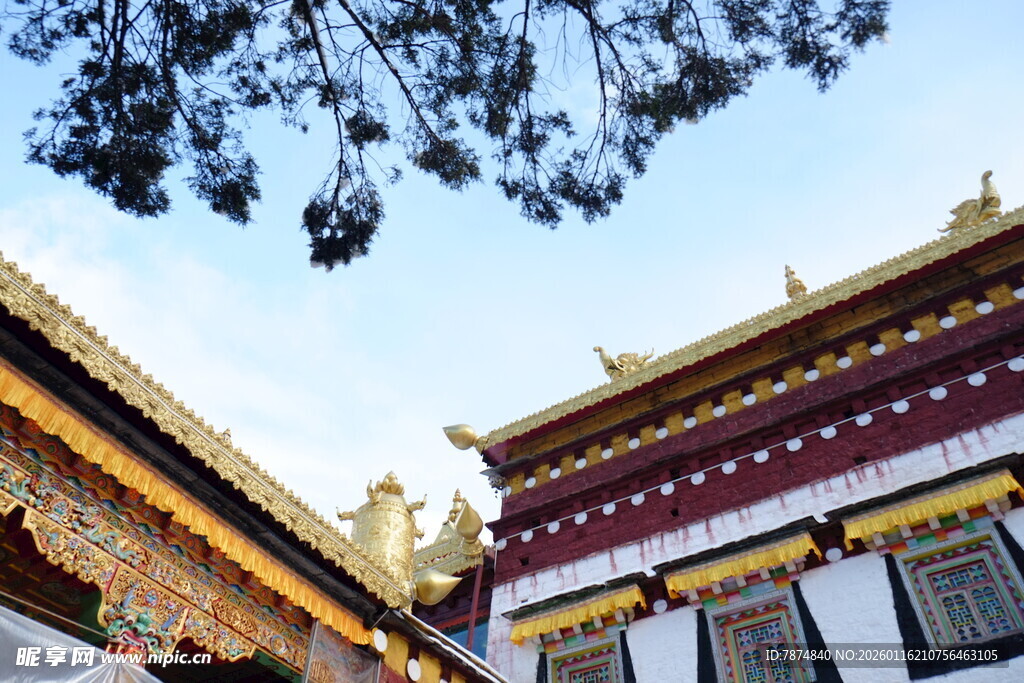 藏式建筑屋顶景观