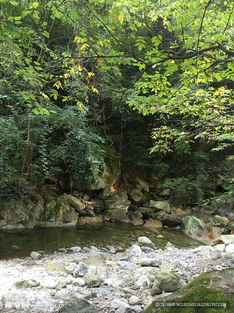 山间溪流旁的葱郁景致