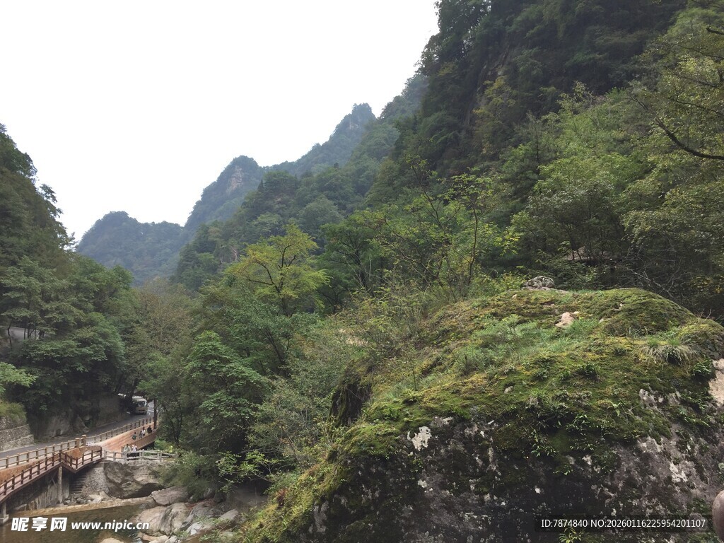 山间绿意盎然的河谷景色
