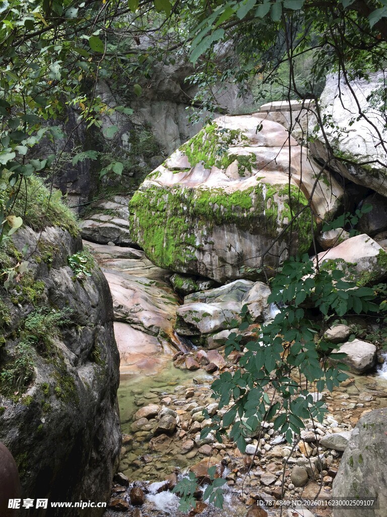 山林间的岩石与绿植景观