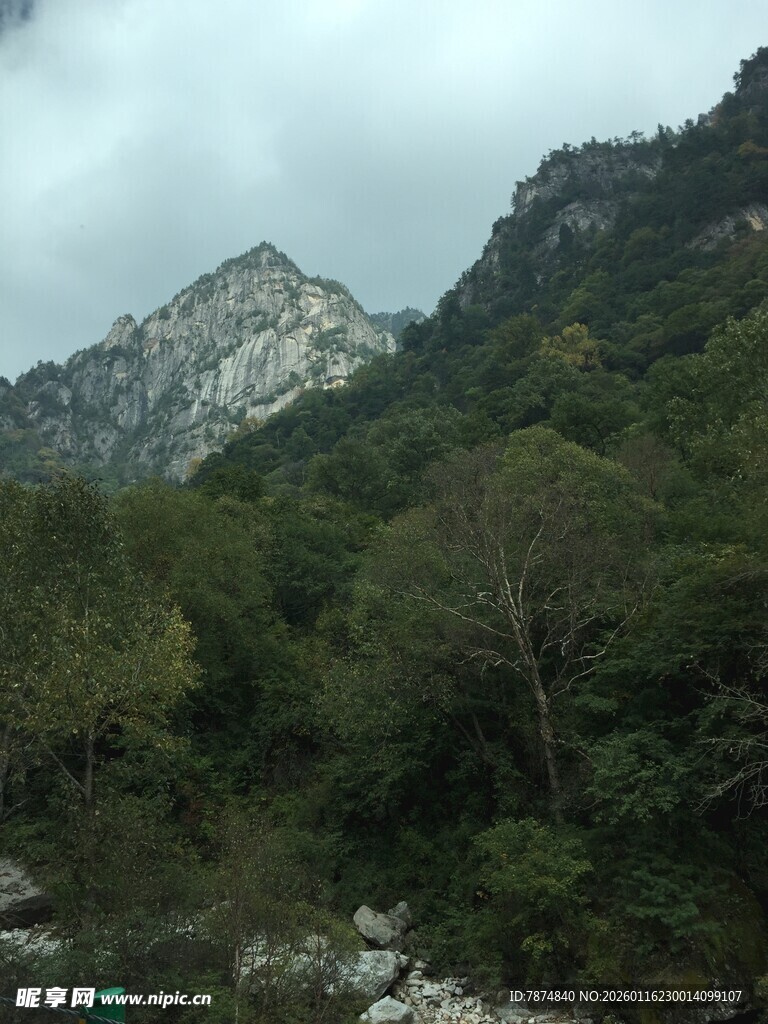 山间葱郁景色