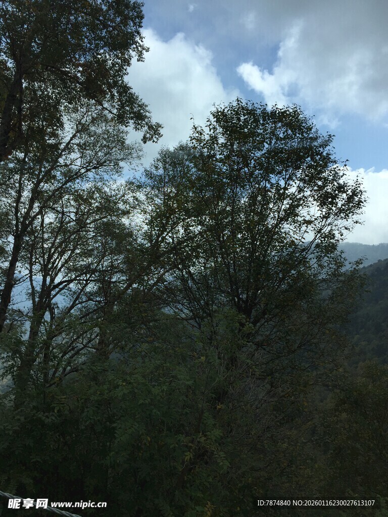 山林间的蓝天绿树景致