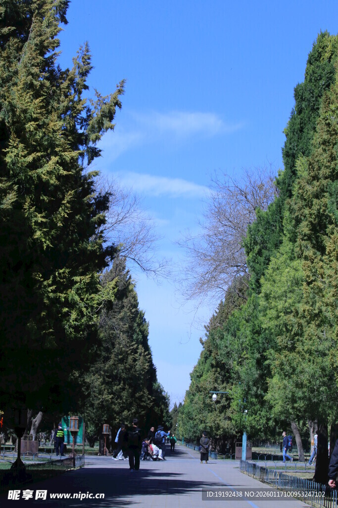 公园风景  
