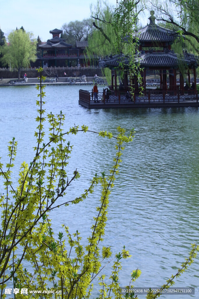 公园风景 