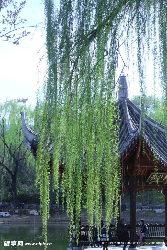 公园风景  