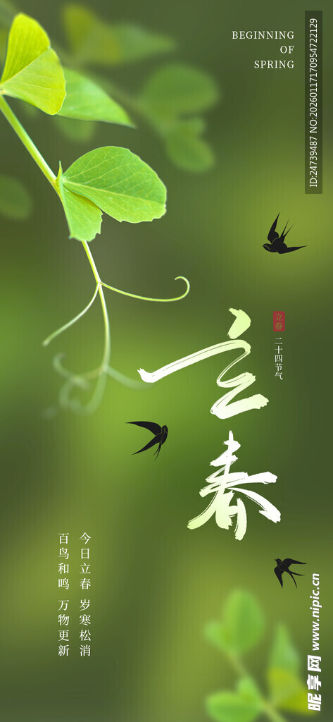 立春海报