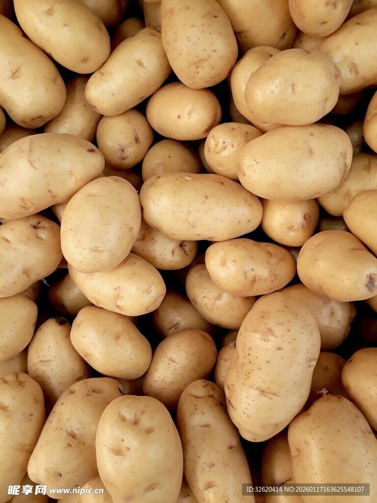 新鲜土豆