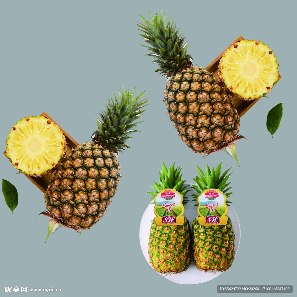 多样菠萝造型展示