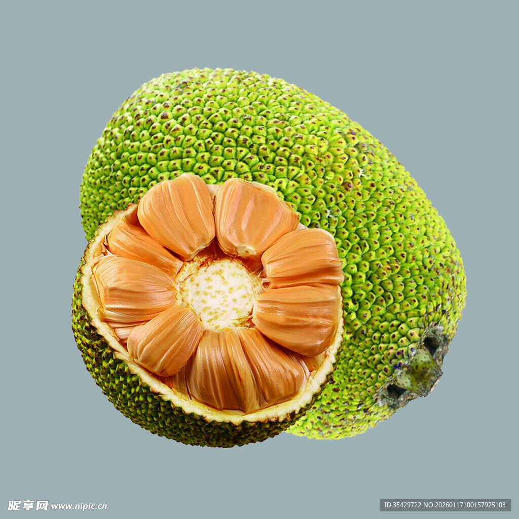 切开的菠萝蜜展示其果肉